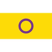 Intersex Flag 1800mm x 900mm (Knitted)