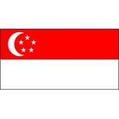 Singaore Flag