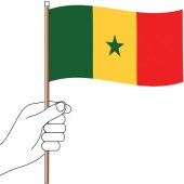 Senegal Handwaver Flag 300mm x 150mm (Knitted)