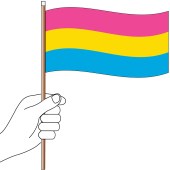 Pansexual Handwaver Flag, 300mm x 150mm