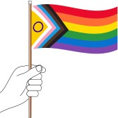 Intersex Inclusive Progress Pride Flag Handwaver