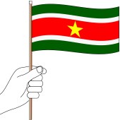 Suriname Handwaver Flag