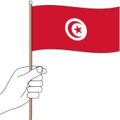 Tunisia Handwaver Flag 300mm x 150mm (Knitted)
