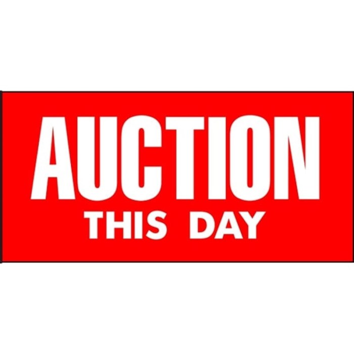 Auction This Day VS