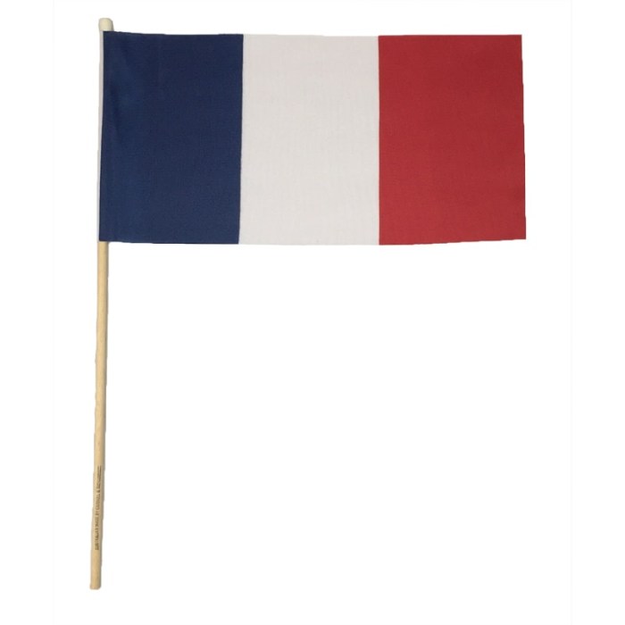 France Hand Flag Handwaver