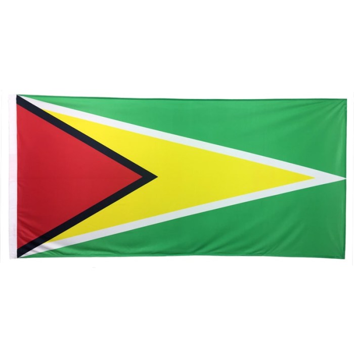 Guyana Flag 1800mm x 900mm (Knitted)