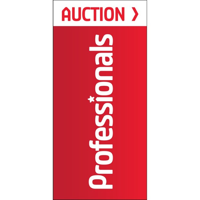Professionals Signboard Flag - Front