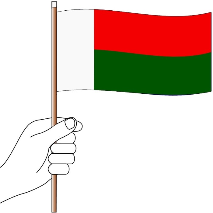 Madagascar Hand Flag Handwaver