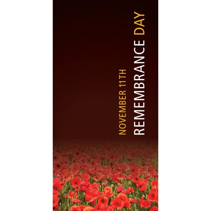 Remembrance Day Flag - Colour Fade to Red Poppies (10)