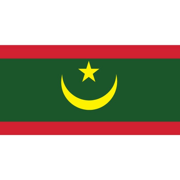 Mauritania Flag 1800mm x 900mm (Knitted)
