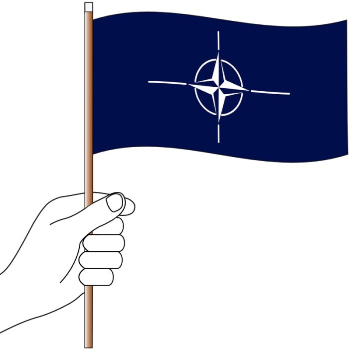 NATO Handwaver