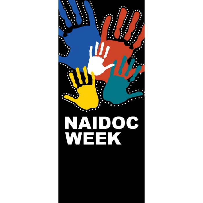 NAIDOC-26 Flag