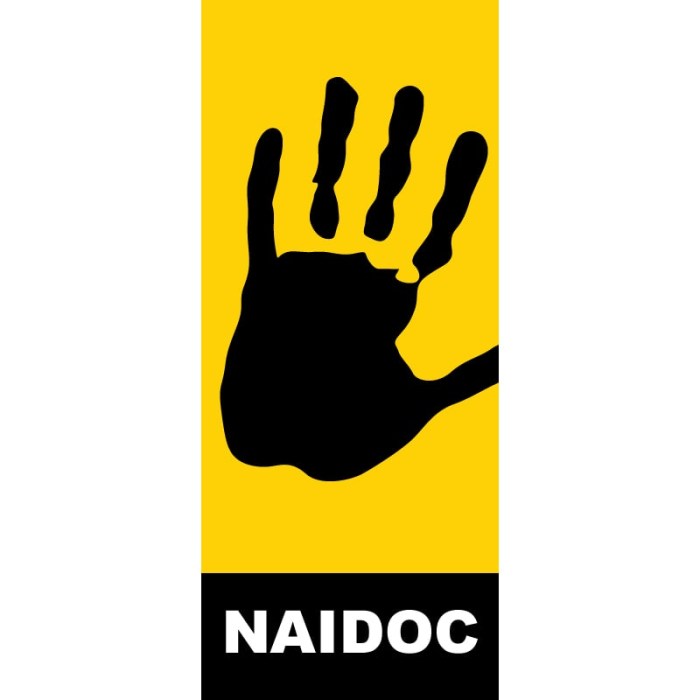 NAIDOC-27 Flag