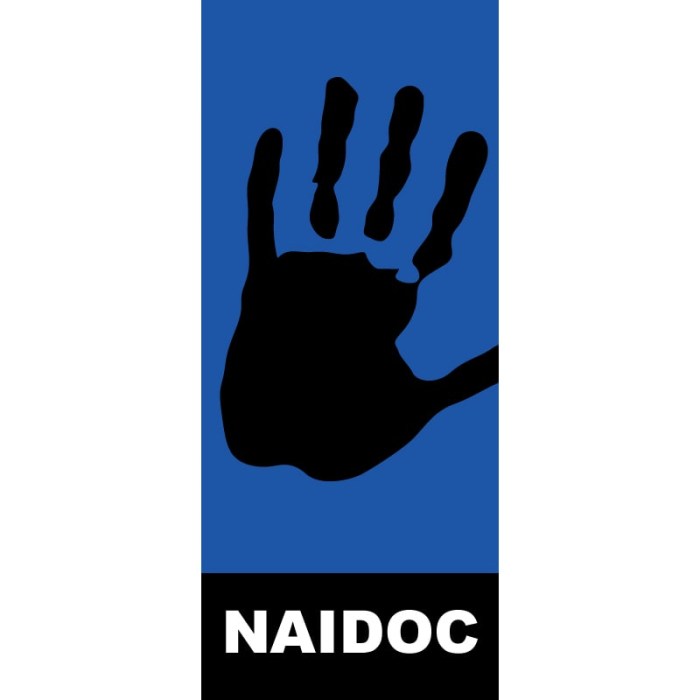 NAIDOC-29 Flag