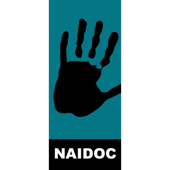 NAIDOC-30 Flag
