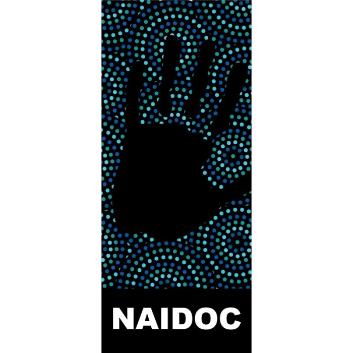 NAIDOC-34 Flag
