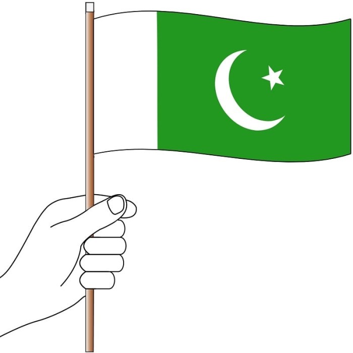 Premium Vector | A young boy with the pakistan flag giving a salute one  line art