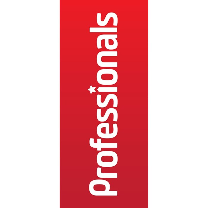 Professionals Red Pull Up Banner