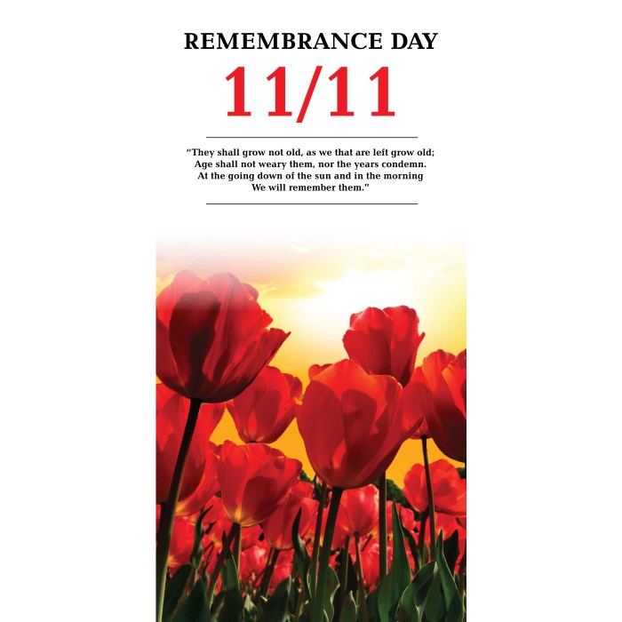 Remembrance Day Flag REM_8