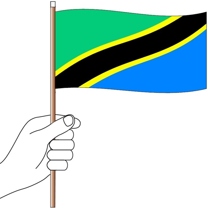 Tanzania Hand Flag Handwaver