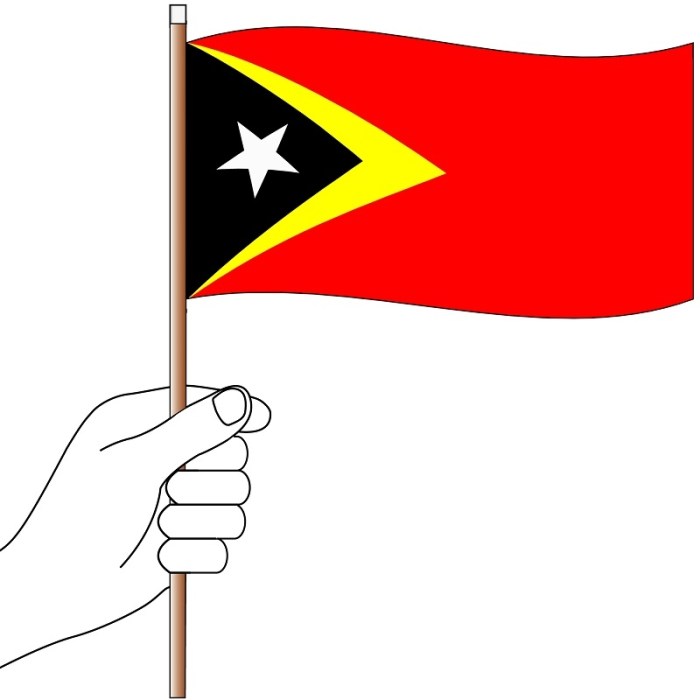 Timor Leste Hand Flag Handwaver