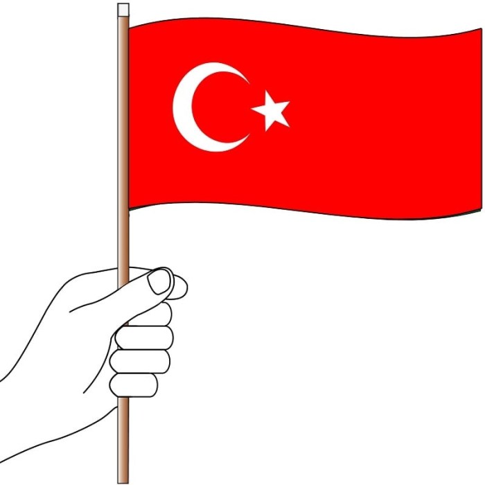 Turkey Hand Flag Handwaver
