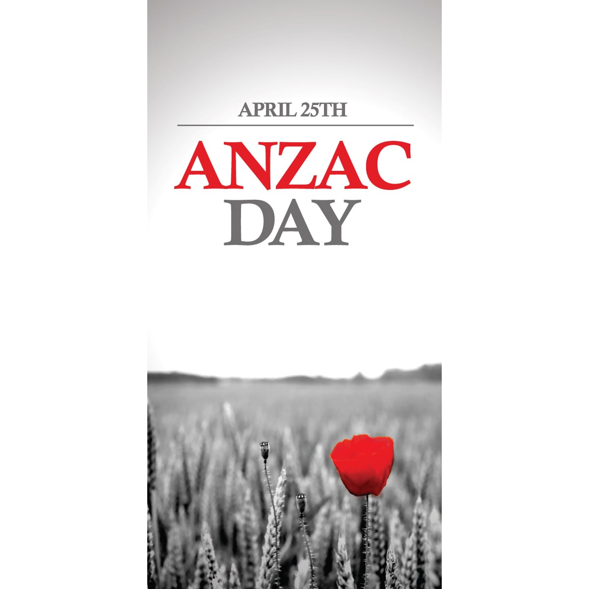 Anzac Day Flag - Red Poppy (27)