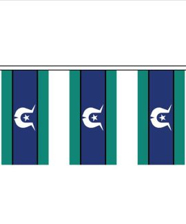 Torres Strait Islander Bunting