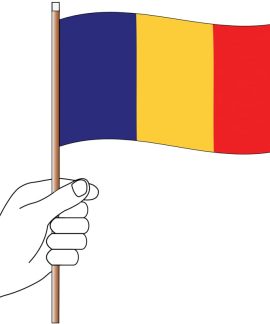 Chad Handwaver Flag 300mm x 150mm (Knitted)