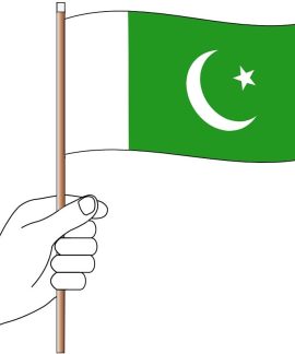 Pakistan Hand Flag Handwaver