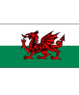 Welsh Flag