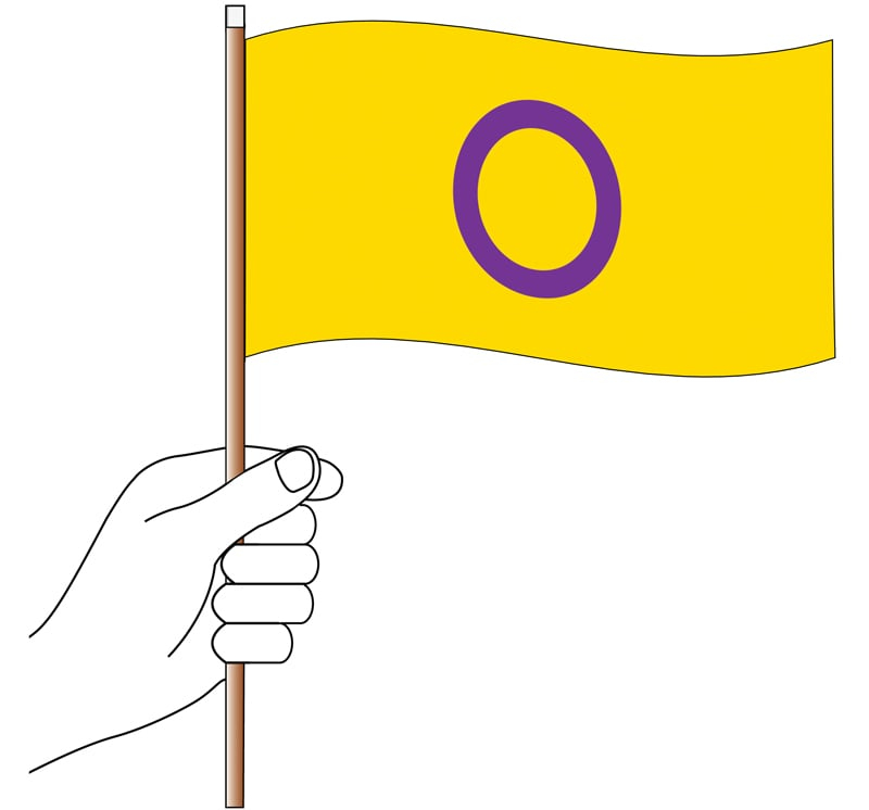 Intersex Handwaver Flag 300mm x 150mm (Knitted)