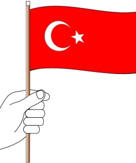 Turkey Hand Flag Handwaver