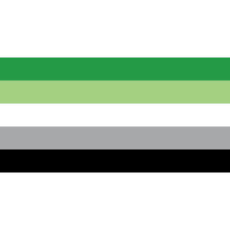 Aromantic Flag