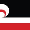 Black white red flag with koru spiral design