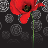 Red poppy flower with Lest We Forget message