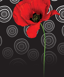 Red poppy flower with Lest We Forget message