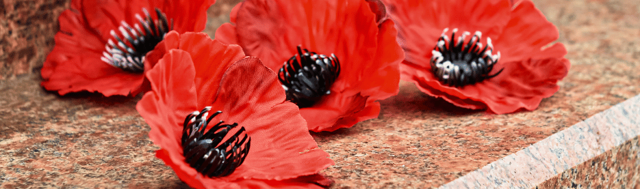 Red poppy flowers on a granite surface